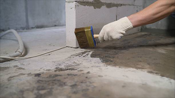 SJ Waterproofing Pros Waterproofing coverage map for Bloomingdale, TN and surrounding area
